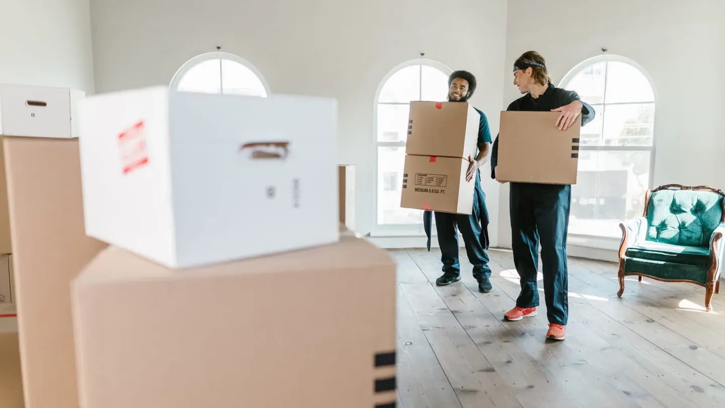 Illustrative photograph for Removalist