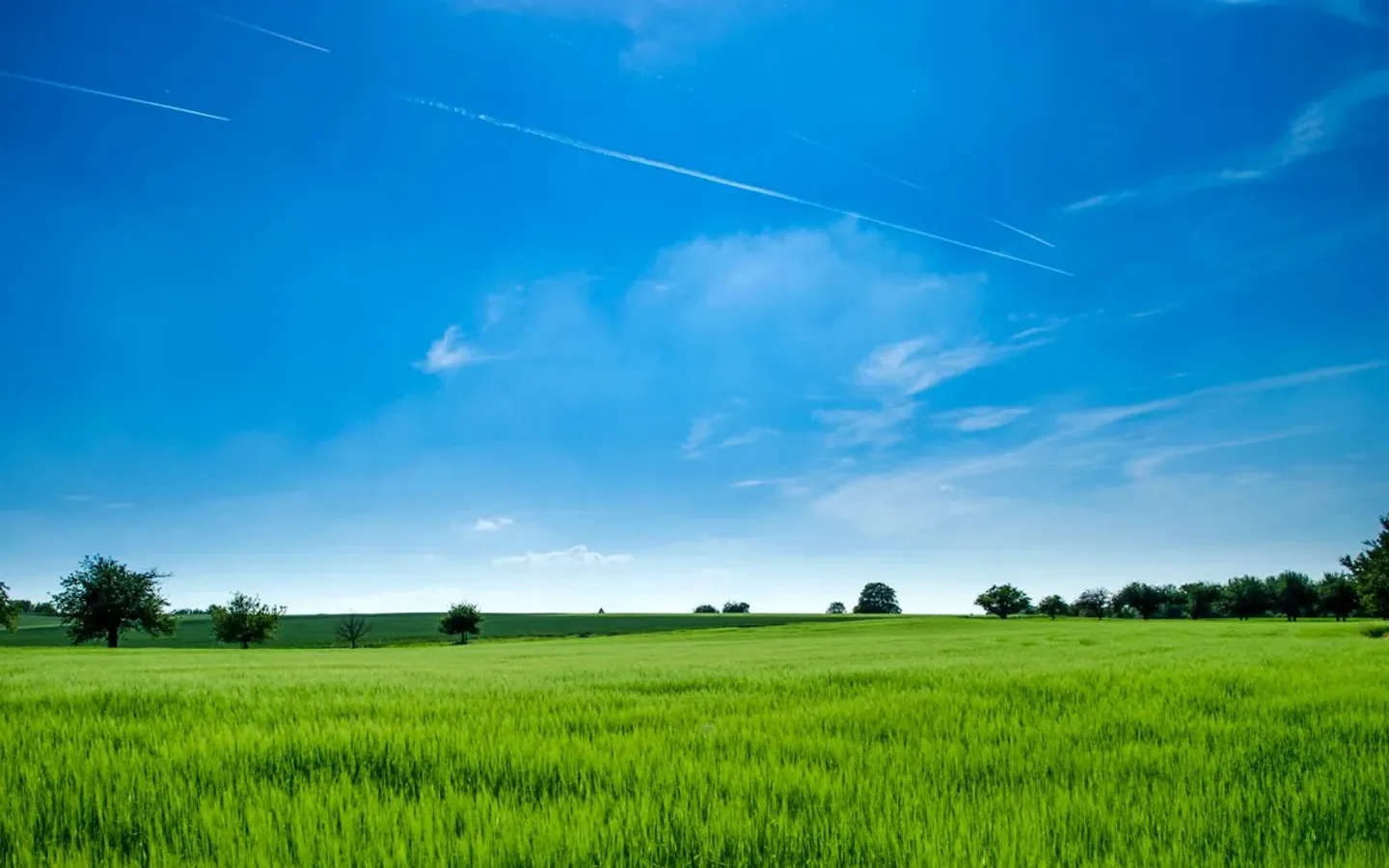 Illustrative photograph for Family farm