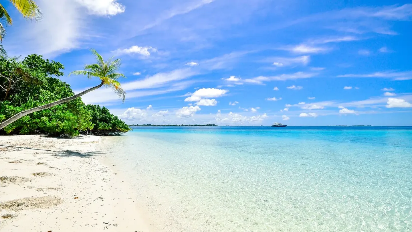 Illustrative photograph for Travel agency and tour operator