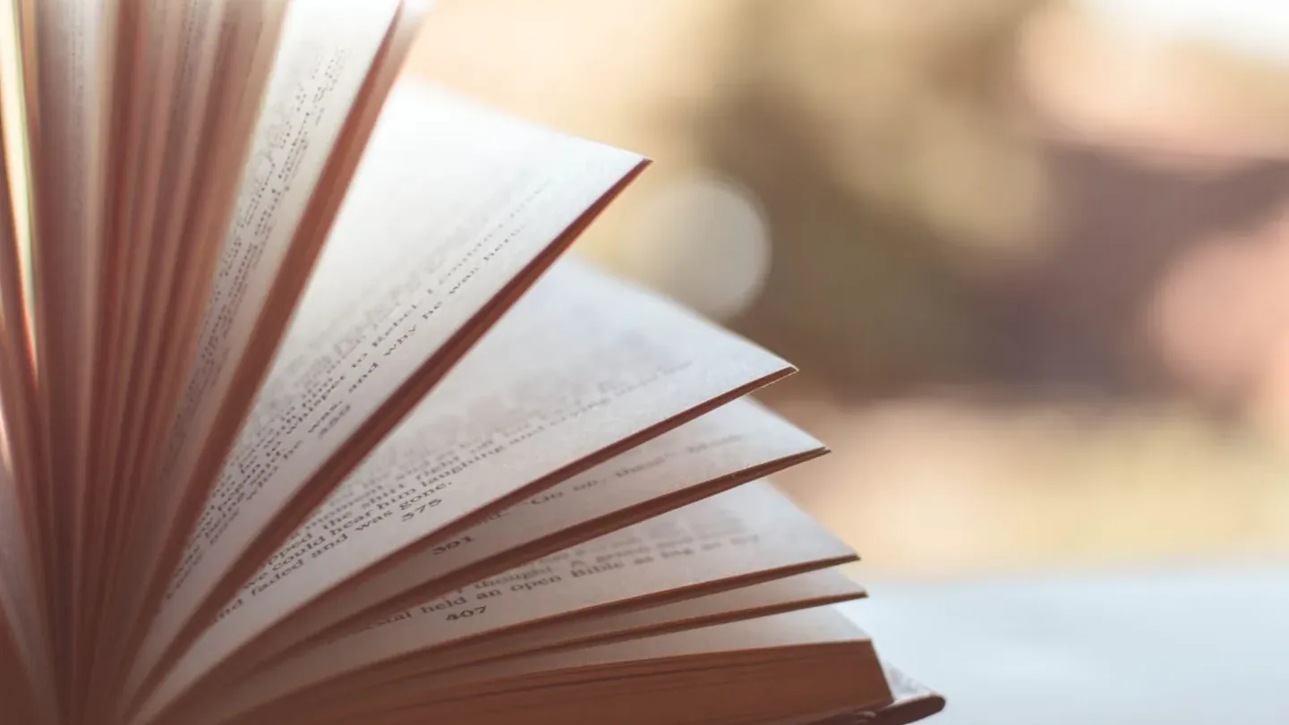 Illustrative photograph for Multilingual literary publication