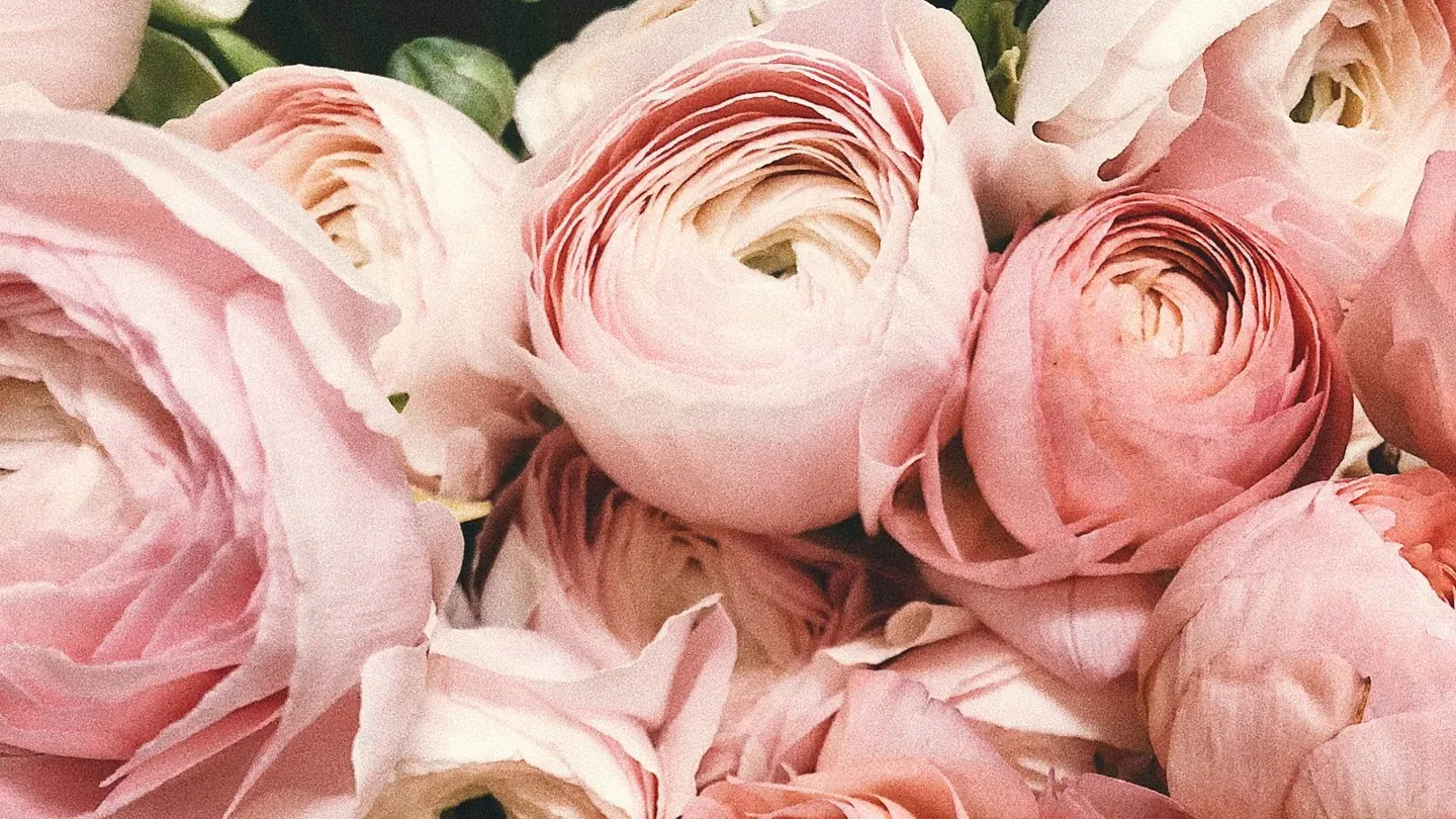 Illustrative photograph for Funeral service provider