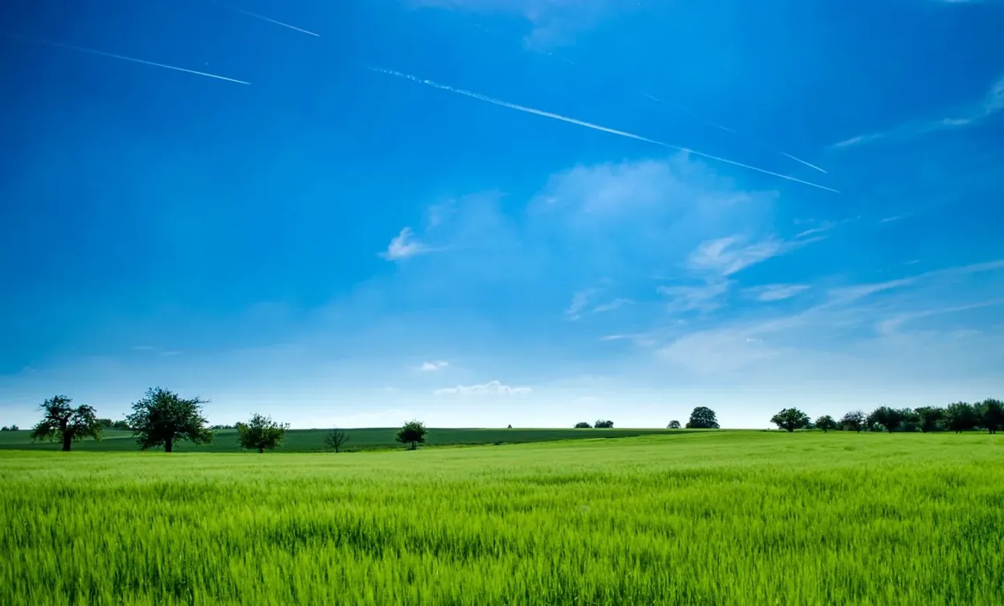Illustrative photograph for Crop and livestock producer