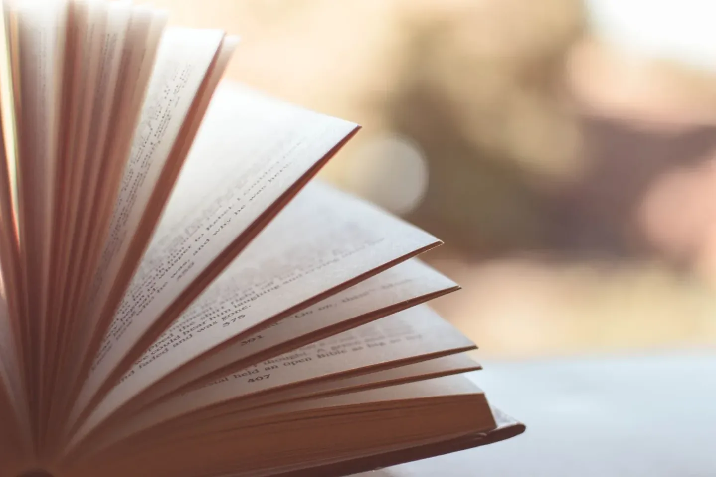 Illustrative photograph for Secondhand bookshop