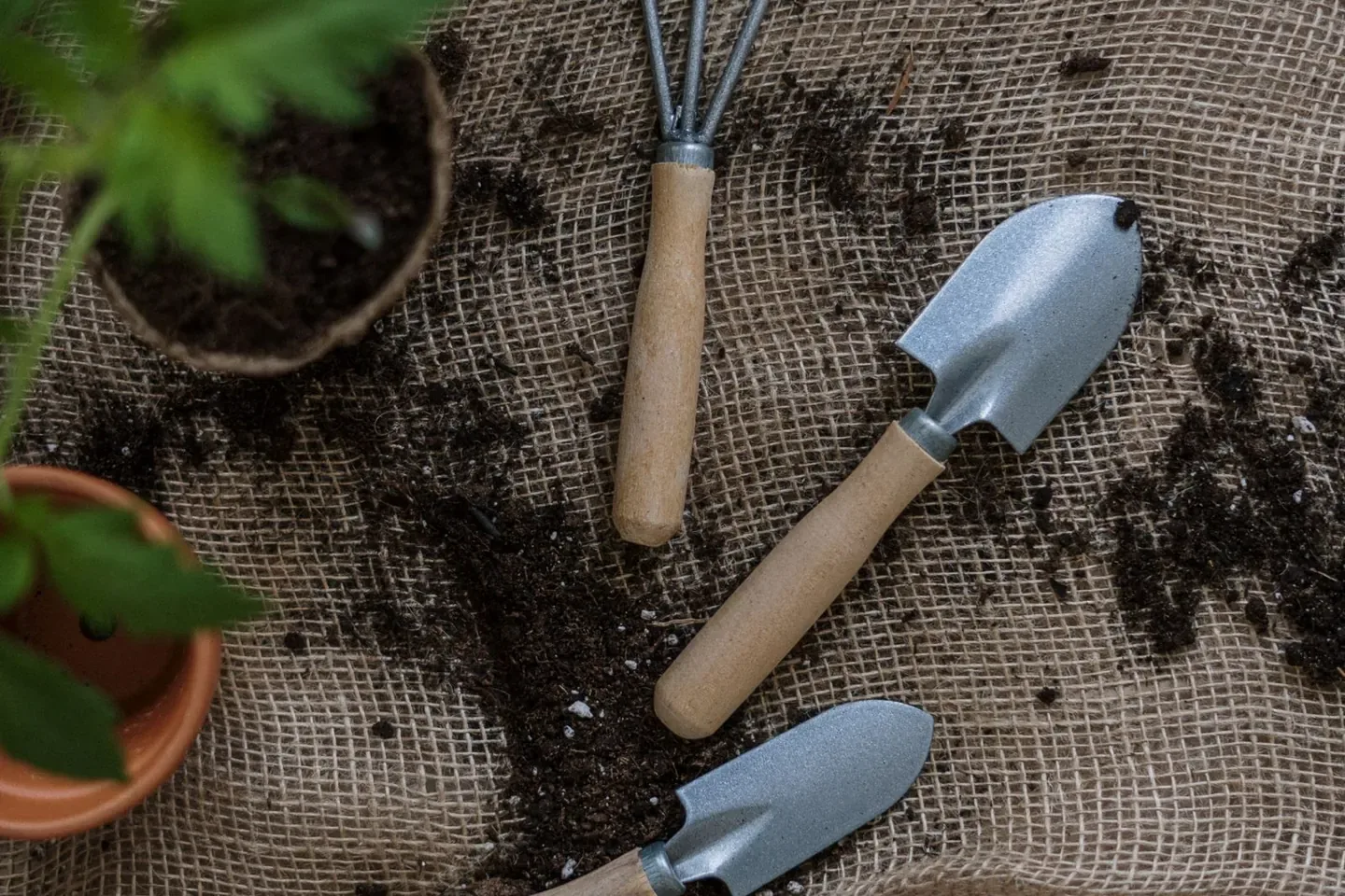 Illustrative photograph for Community garden