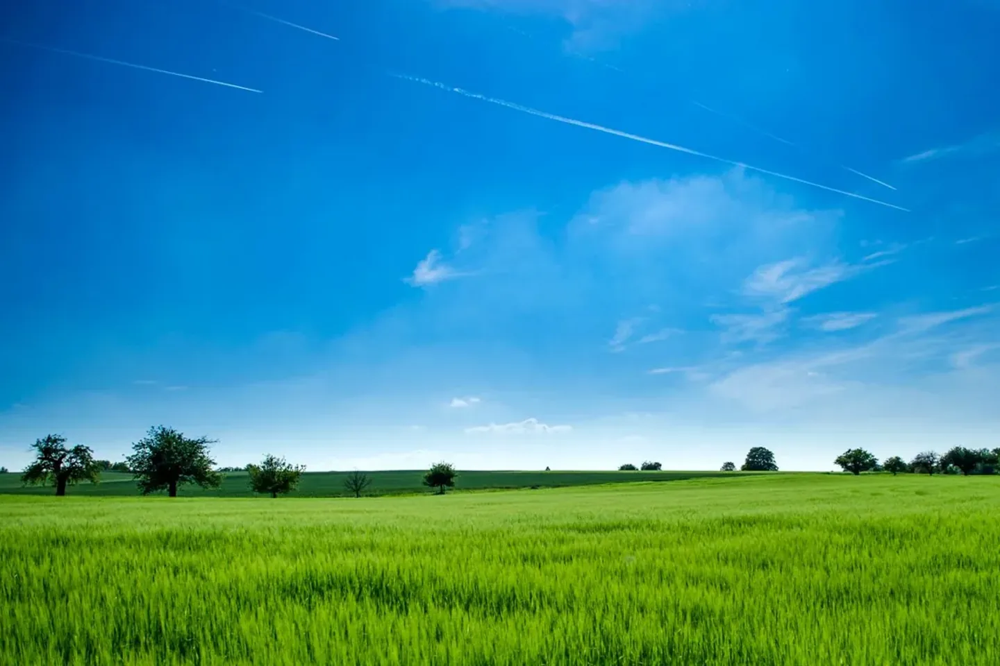 Illustrative Agriculture, fishing & food production template image