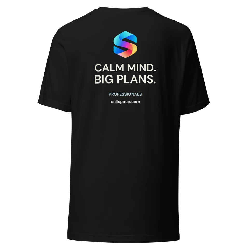 Big Plans Tee in Black — product, back view
